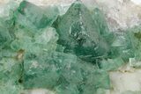 Green Fluorescent Cubic Fluorite Crystals - Madagascar #361321-3